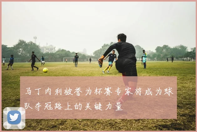 马丁内利被誉为杯赛专家将成为球队夺冠路上的关键力量