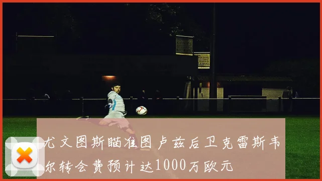 尤文图斯瞄准图卢兹后卫克雷斯韦尔转会费预计达1000万欧元