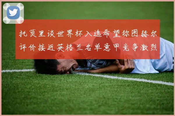 托莫里谈世界杯入选希望称图赫尔评价接近英格兰名单意甲竞争激烈